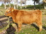 argyll_profile.jpg